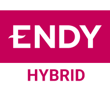 Endy Hybrid Logo