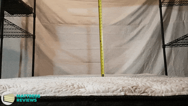 Image of the Logan & Cove mattress bounce test.