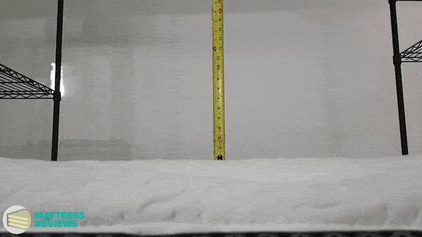 Image of the Logan & Cove Medium Plush mattress bounce test.