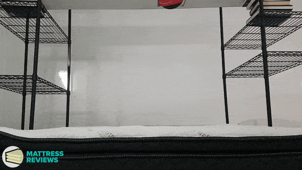 Image of the Logan & Cove Medium Plush mattress motion isolation test.