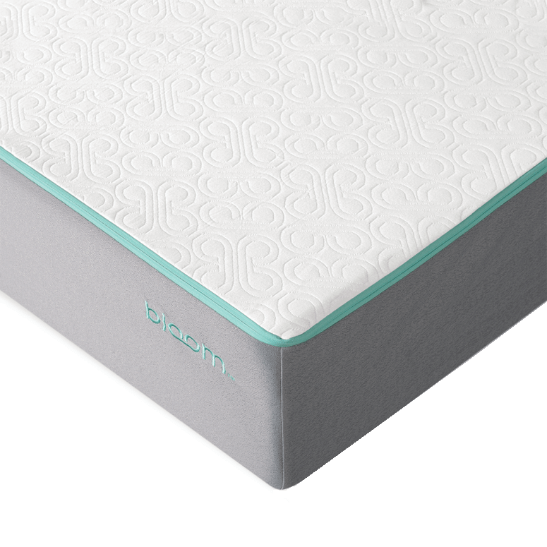 Image of the Bloom Air mattress out of its packaging.