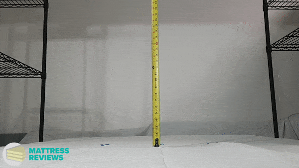 Looping video image of the Nectar mattress bounce test.