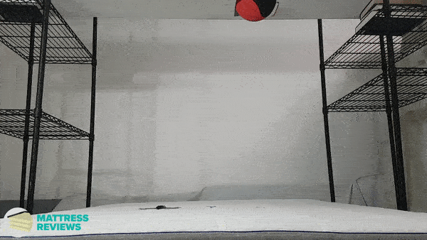 Looping video of the Nectar mattress motion isolation test.
