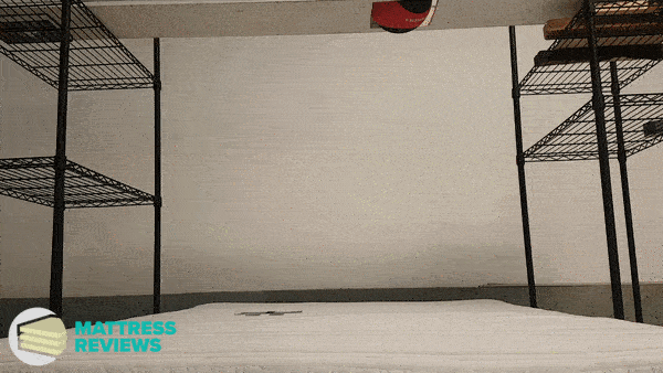 Looping video of the OMG Gotta Sleep mattress motion isolation test.