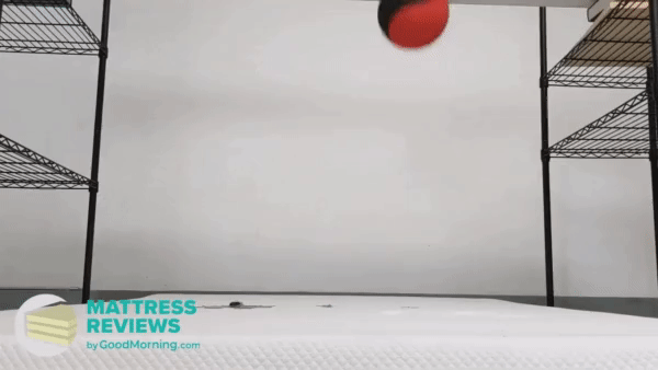 10 lb. medicine ball dropped on Simba mattress to test motion isolation
