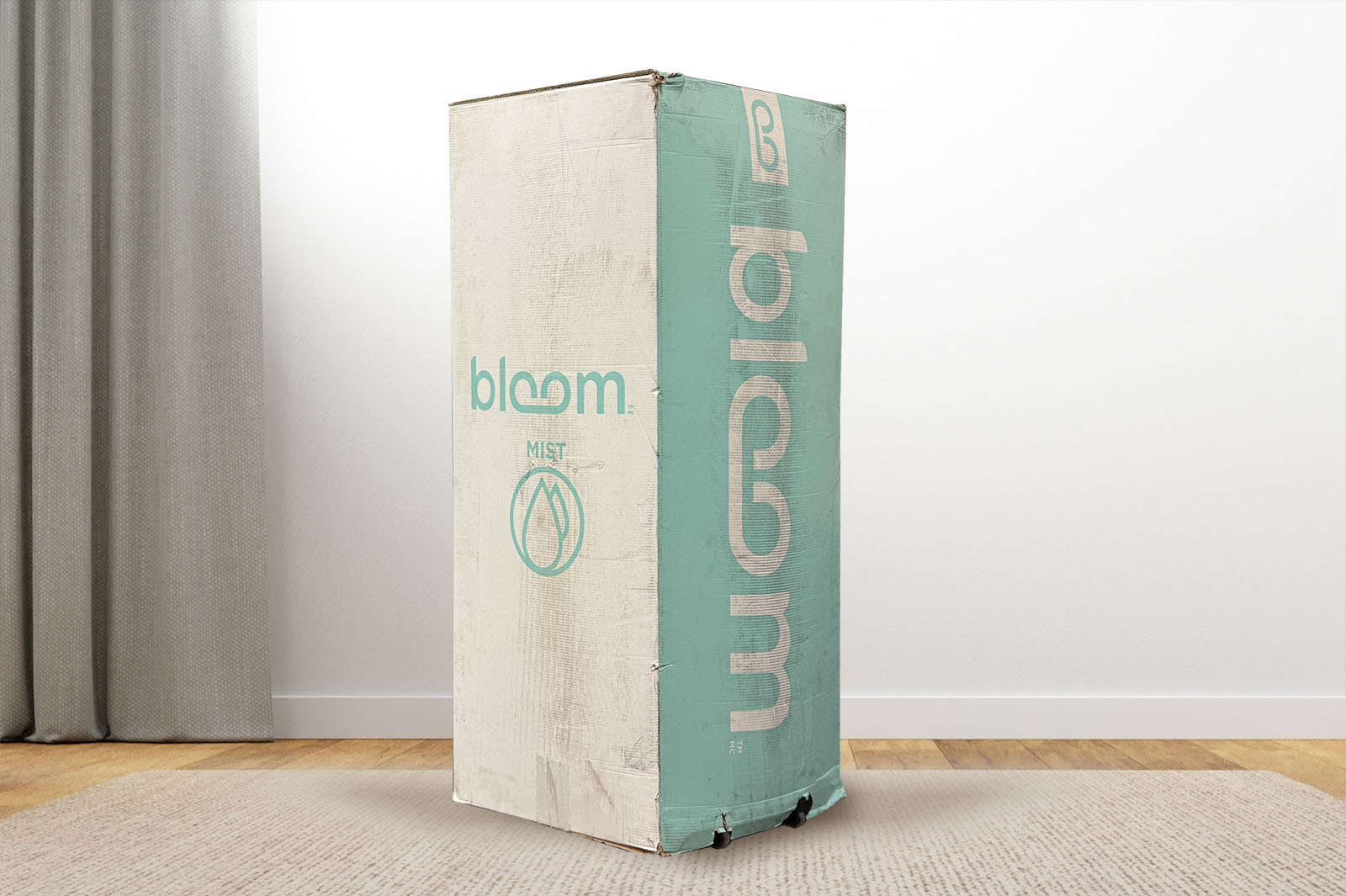 BloomMistBox MattressReviewscom Bloom Mist mattress delivery box on a carpet in a room