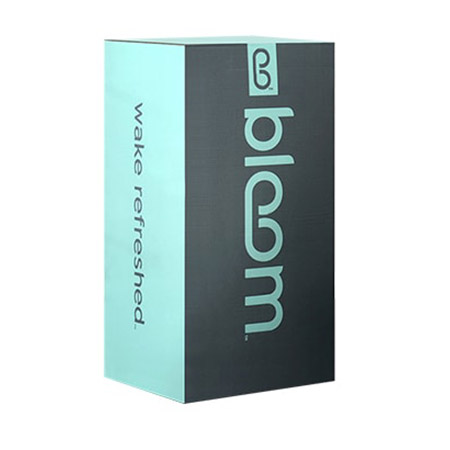 Image of the Bloom Earth mattress box.