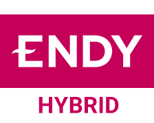 Endy Hybrid Logo