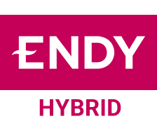 Endy Logo